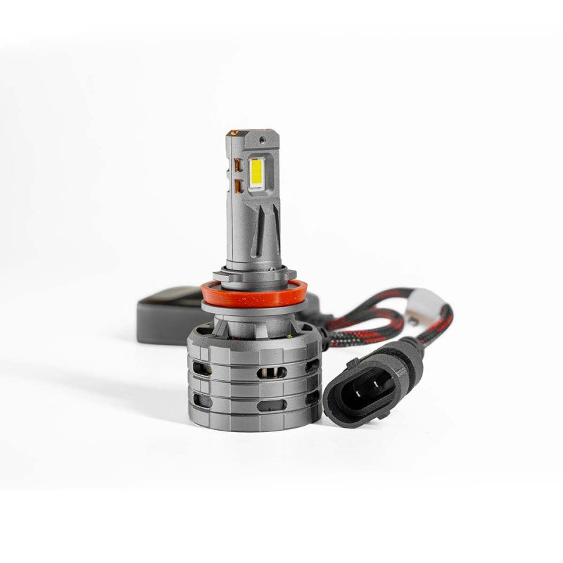XKGLOW XK045007-H11 - XKGXK045007-H11 - XKGlow H11 Platinum LED Bulb Kit - Shipped in Europe - Tuningsupply.com