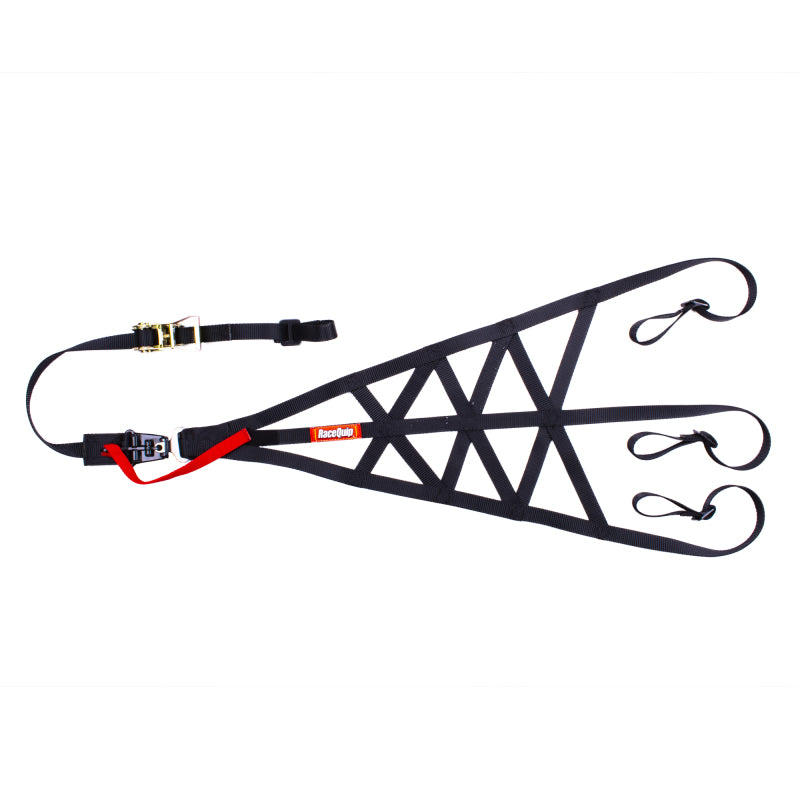 Racequip 828998RQP - RQP828998RQP - RaceQuip Black SFI 37.1 Side Roll Cage Net - Shipped in Europe - Tuningsupply.com