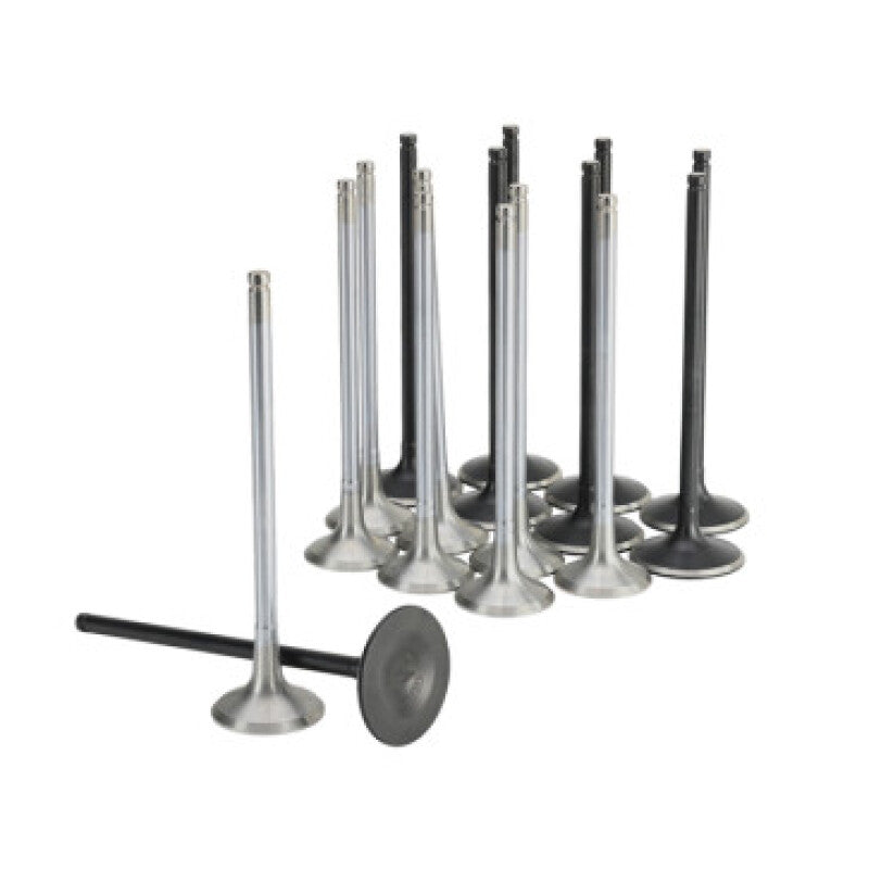 Skunk2 Racing 310-05-2000 - SKK310-05-2000 - Skunk2 Honda K20C1 Alpha Series Intake & Exhaust Valve Set (Standard Compression) - Shipped in Europe - Tuningsupply.com