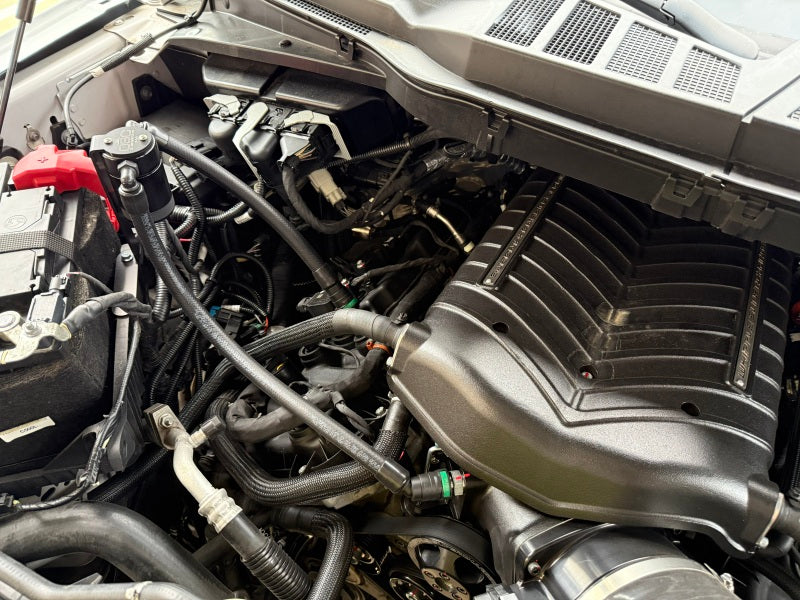 J&L 3131P-B - JLT3131P-B - J&L 21-26 Ford F-150 5.0L Oil Separator 3.0 PCV Side - Black Anodized - Shipped in Europe - Tuningsupply.com