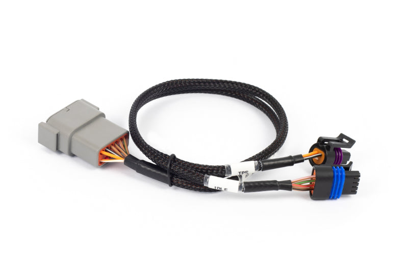 Haltech HT-186504 - HALHT-186504 - Haltech NEXUS Rebel LS Cable Throttle & IAC Sub-Harness - Shipped in Europe - Tuningsupply.com