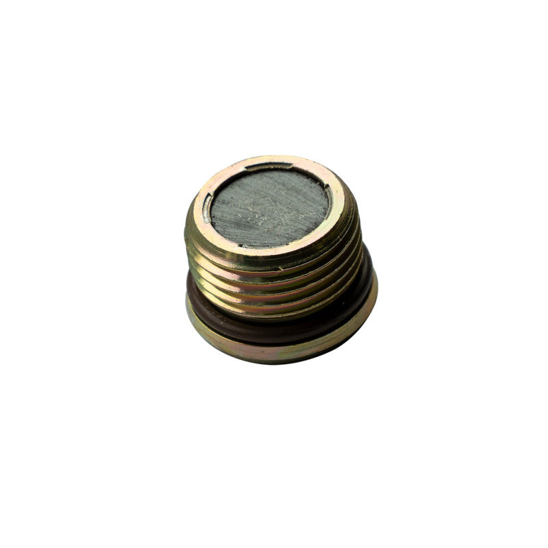 BD Diesel 1601613 - BDD1601613 - BD Diesel Drain Plug for Deep Transmission Part 1061716 - Shipped in Europe - Tuningsupply.com