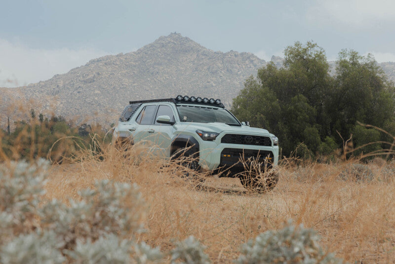 DV8 Offroad RRTF3-02EMP - DVERRTF3-02EMP - DV8 Offroad 25-26 Toyota 4Runner Exterior Window Molles (Use w/ PN dveRRTF3-02) - Passenger - Shipped in Europe - Tuningsupply.com