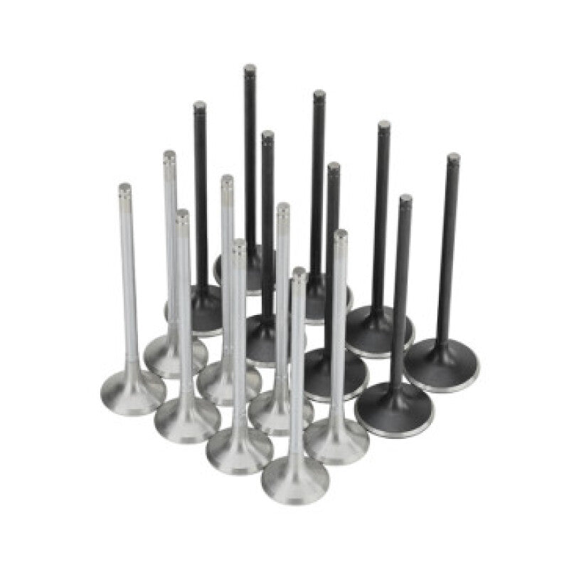 Skunk2 Racing 310-05-2000 - SKK310-05-2000 - Skunk2 Honda K20C1 Alpha Series Intake & Exhaust Valve Set (Standard Compression) - Shipped in Europe - Tuningsupply.com