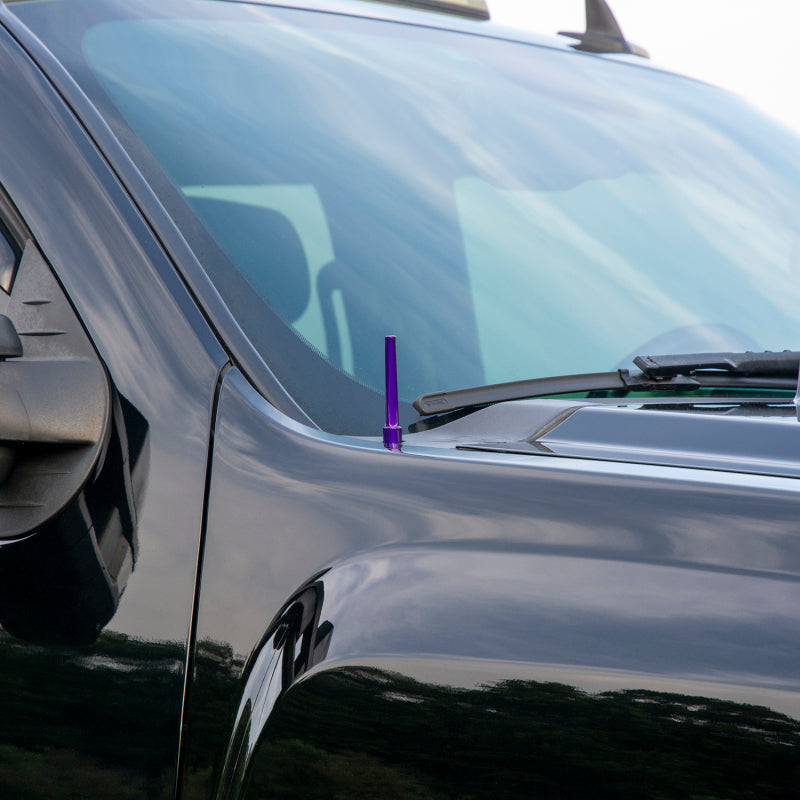 Wehrli WCF100041-GB - WCFWCF100041-GB - Wehrli 07.5-19 Chevrolet 6.6L Duramax Billet TIG Torch Stubby Antenna - Gloss Black - Shipped in Europe - Tuningsupply.com