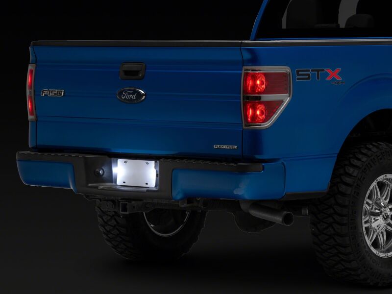 Raxiom T584721 - RAXT584721 - Raxiom 97-14 Ford F150 Axial Series LED License Plate Lamps - Shipped in Europe - Tuningsupply.com