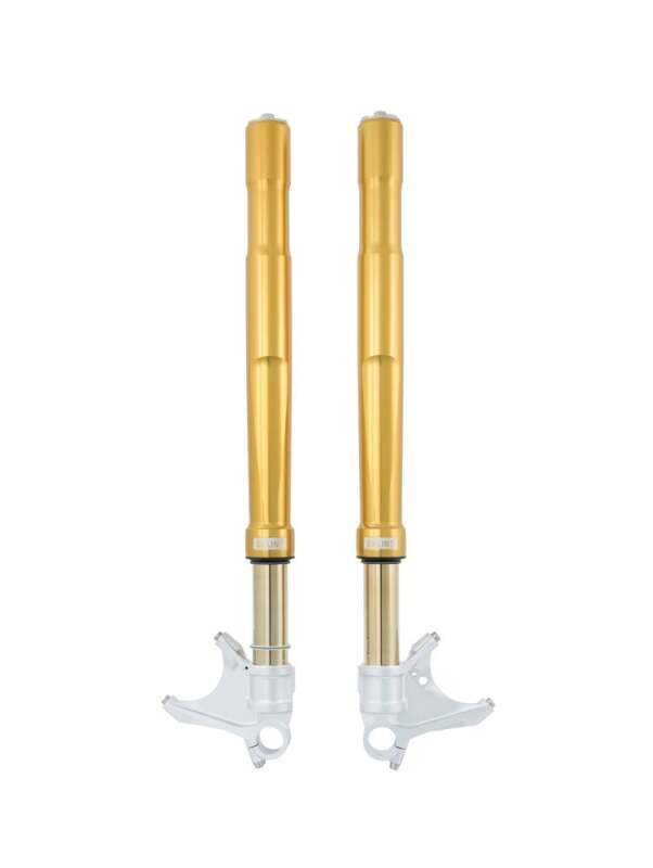 Ohlins FGRT 231 - OHLFGRT 231 - Ohlins 14-15 Ducati 899 Panigale FGRT 200 Fork - Shipped in Europe - Tuningsupply.com