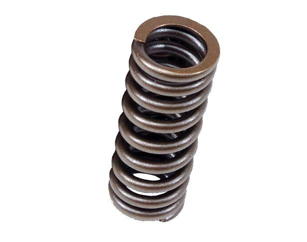 BLOX Racing BXPT-20301 - BLOBXPT-20301 - BLOX Racing Valve Springs for D-series SOHC VTEC D16Z-Y (1.6L SOHC VTEC) - Shipped in Europe - Tuningsupply.com