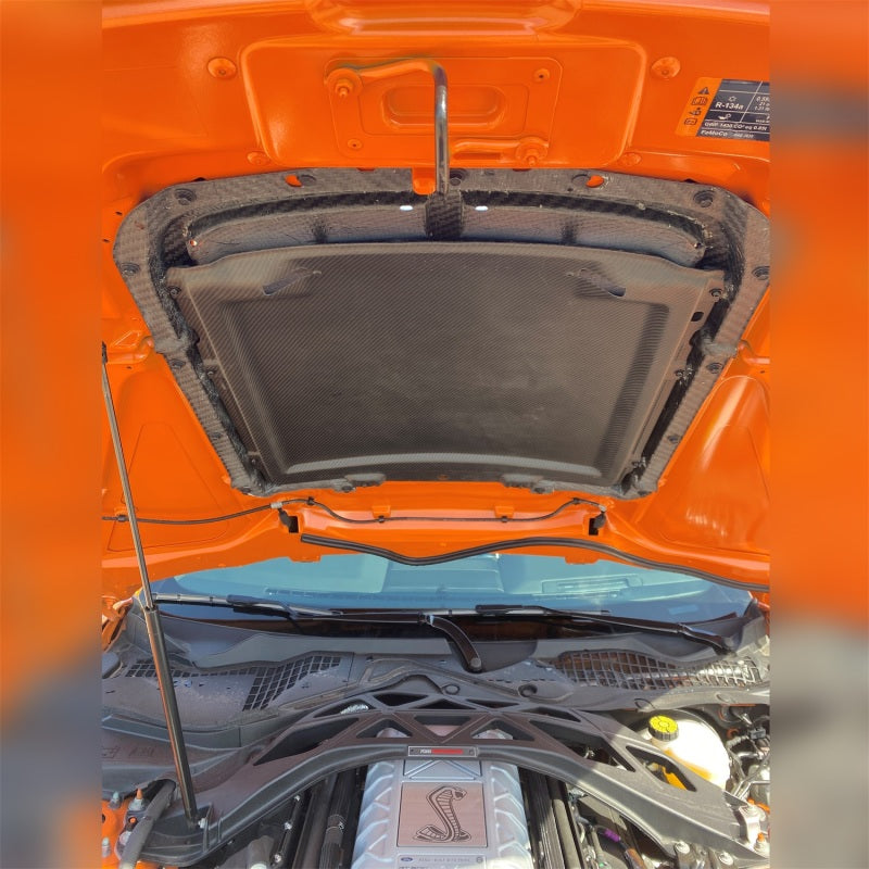 Ford Racing M-16612-C20 - FRPM-16612-C20 - Ford Racing 20-22 Mustang GT500 Carbon Fiber Hood Vent Kit - Shipped in Europe - Tuningsupply.com