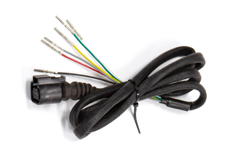 Haltech HT-131002 - HALHT-131002 - Haltech Wideband Harness for Elite PRO Plug-in ECUs - Shipped in Europe - Tuningsupply.com