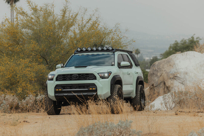 DV8 Offroad RRTF3-02EMD - DVERRTF3-02EMD - DV8 Offroad 25-26 Toyota 4Runner Exterior Window Molle for DV8 Offroad Roof Rack - Driver - Shipped in Europe - Tuningsupply.com