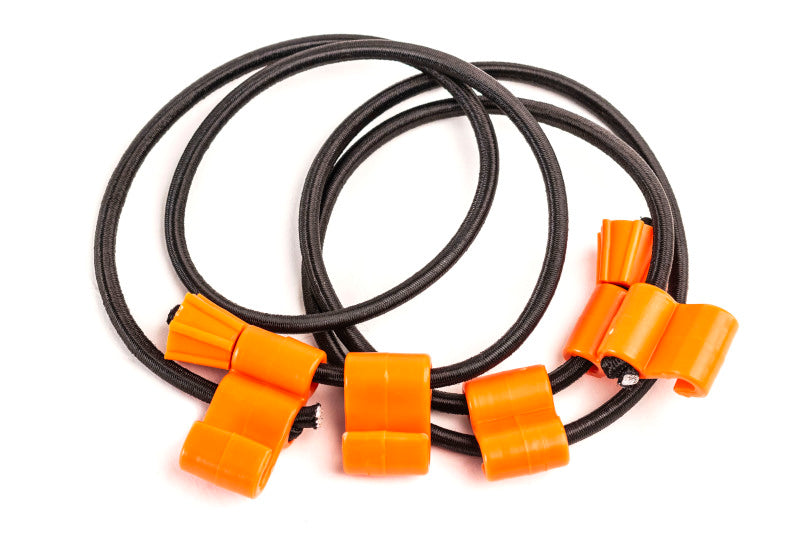 Giant Loop RBS17 - GIARBS17 - Giant Loop Rubber Boa Straps - Black/Orange - Shipped in Europe - Tuningsupply.com