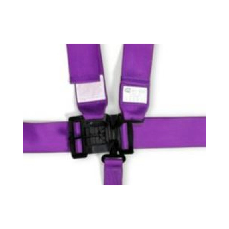 Racequip 711051RQP - RQP711051RQP - RaceQuip Purple L & L 5pt Seat Belt - Shipped in Europe - Tuningsupply.com