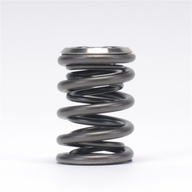 Skunk2 Racing 344-05-1300 - SKK344-05-1300 - Skunk2 Alpha Series Honda/Acura B Series Valve Spring and Titanium Retainer Kit - Shipped in Europe - Tuningsupply.com