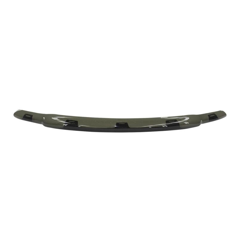 Westin 72-94136 - WES72-94136 - Westin 2010-2018 Ram HD Platinum Bug Shield - Smoke - Shipped in Europe - Tuningsupply.com