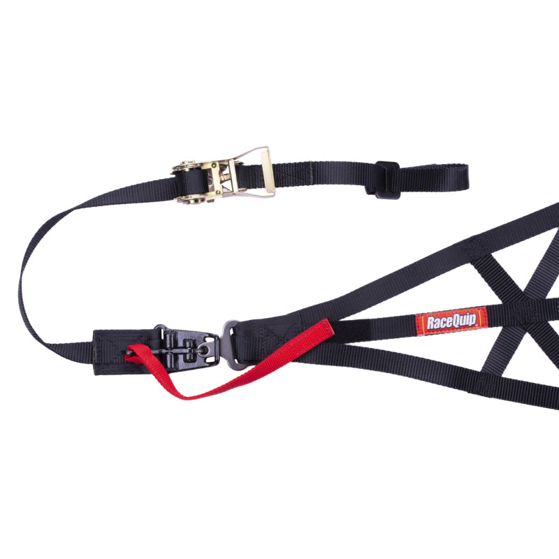 Racequip 828998RQP - RQP828998RQP - RaceQuip Black SFI 37.1 Side Roll Cage Net - Shipped in Europe - Tuningsupply.com