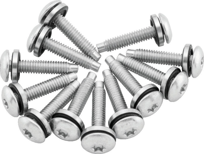 TwinPower 046269 - TWP046269 - Twin Power 04-17 Dyna Models Fuel Pump Plate Screw Kit Replaces H-D 1331 - Shipped in Europe - Tuningsupply.com