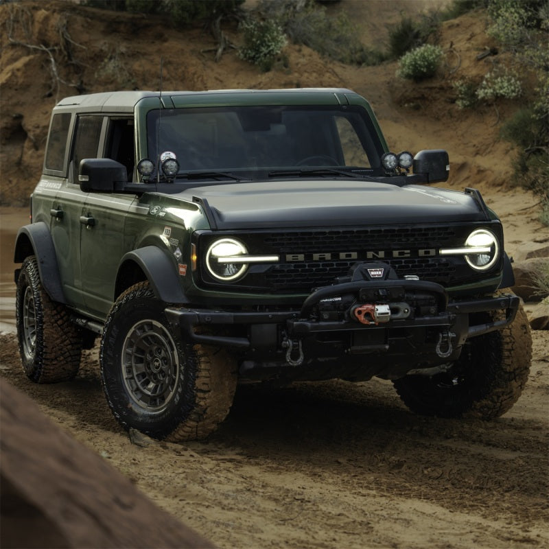 Ford Racing M-1830-EDS - FRPM-1830-EDS - Ford Racing Epic D-Ring Shackle - Shipped in Europe - Tuningsupply.com