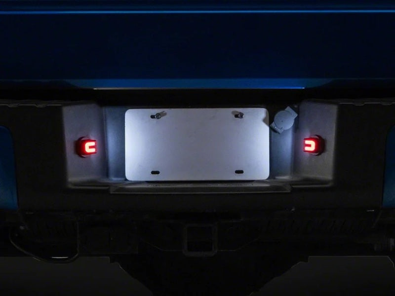 Raxiom T596989 - RAXT596989 - Raxiom 04-14 Ford F-150 LED License Plate Lighting- White and Red - Shipped in Europe - Tuningsupply.com