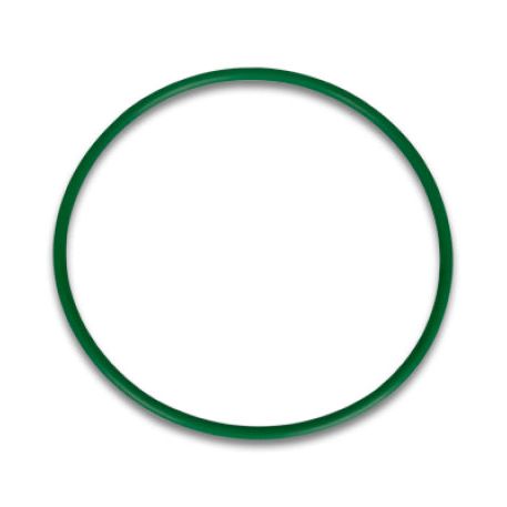 Vibrant 12578G - VIB12578G - Vibrant Replacement O-Ring for 4.00in HD Weld Fittings - Shipped in Europe - Tuningsupply.com