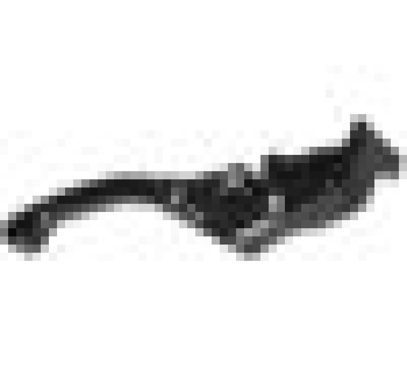 Vortex Racing LVB164 - VTXLVB164 - Vortex Racing H-L201 F33 Brake Lever Short- Black - Shipped in Europe - Tuningsupply.com