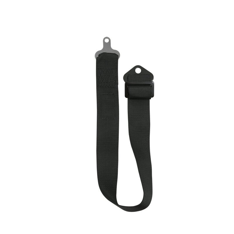Racequip 741001RQP - RQP741001RQP - RaceQuip Black SFI CAMLOCK 5pt PD Lap Seat Belt - Shipped in Europe - Tuningsupply.com