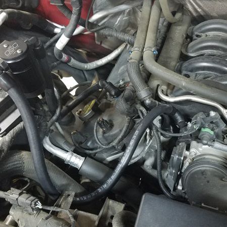 J&L 3016P-B - JLT3016P-B - J&L 2011-2025 Ford F-150 2.7L/3.5L/5.0L Passenger Side Oil Separator 3.0 - Black Anodized - Shipped in Europe - Tuningsupply.com