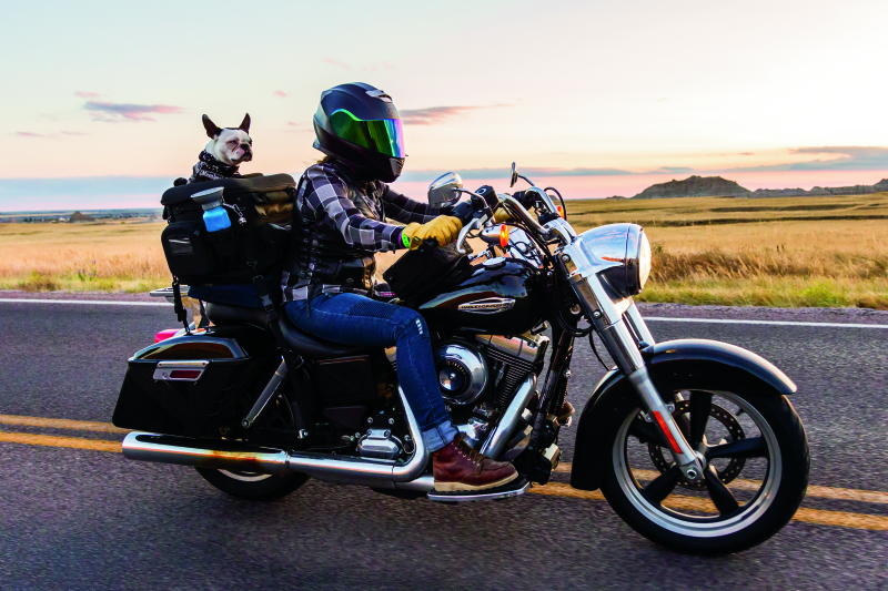 Kuryakyn 5288 - KUR5288 - Kuryakyn Grand Pet Palace - Shipped in Europe - Tuningsupply.com