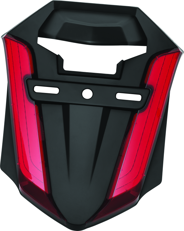 Kuryakyn 3259 - KUR3259 - Kuryakyn Omni L.E.D Rear Fender Cover 18-20 GL1800 Satin Black - Shipped in Europe - Tuningsupply.com