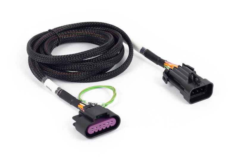 Haltech HT-186507 - HALHT-186507 - Haltech NEXUS Rebel LS Corvette Pedal Adaptor - Shipped in Europe - Tuningsupply.com