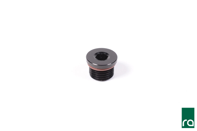 Radium Engineering 14-0427 - RAD14-0427 - Radium Engineering Fitting 2AN ORB Plug - Shipped in Europe - Tuningsupply.com