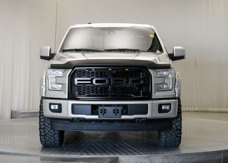 EGR 303475 - EGR303475 - EGR 15+ Ford F150 Superguard Hood Shield - Matte (303475) - Shipped in Europe - Tuningsupply.com