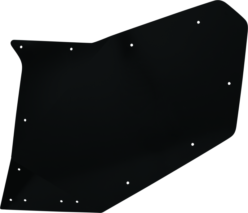 DragonFire Racing 522298 - DFR522298 - DragonFire Racing Polaris Ranger Crew XP 1000 UTV Doors - Replacement Door Skin - Rear Passenger - Shipped in Europe - Tuningsupply.com