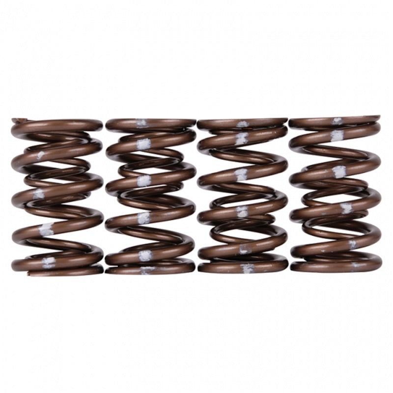 Skunk2 Racing 311-05-7350 - SKK311-05-7350 - Skunk2 Pro Series Honda/Acura B-Series VTEC XP Valve Spring Set (Dual Springs) - Shipped in Europe - Tuningsupply.com