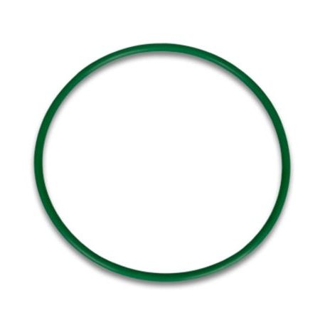 Vibrant 12578G - VIB12578G - Vibrant Replacement O-Ring for 4.00in HD Weld Fittings - Shipped in Europe - Tuningsupply.com