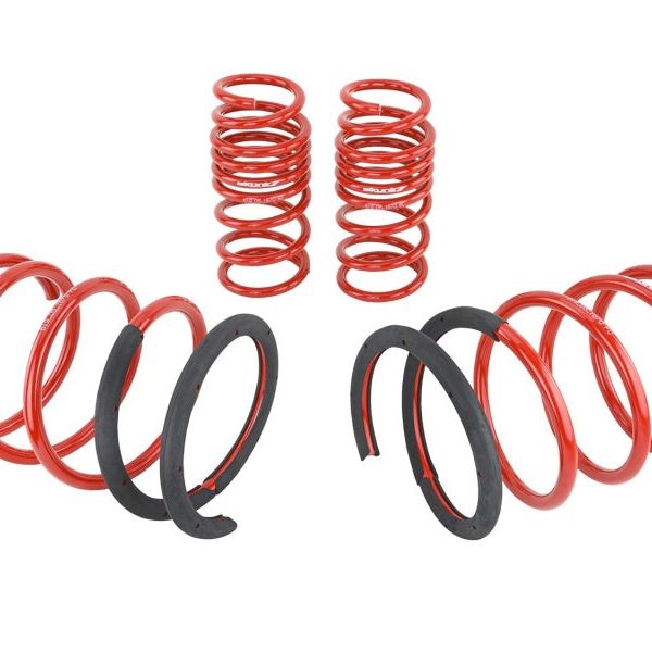 Skunk2 Racing 519-05-1670 - SKK519-05-1670 - Skunk2 02-04 Acura RSX Lowering Springs (2.25in - 2.00in.) (Set of 4) - Shipped in Europe - Tuningsupply.com