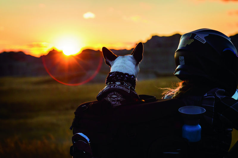 Kuryakyn 5288 - KUR5288 - Kuryakyn Grand Pet Palace - Shipped in Europe - Tuningsupply.com