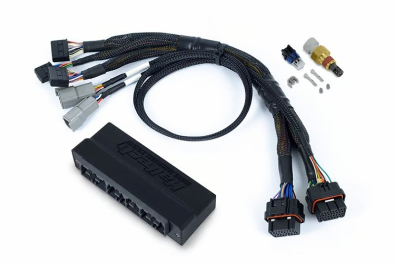Haltech HT-186367 - HALHT-186367 - Haltech NEXUS S3 Plug-n-Play Adapter Harness - Shipped in Europe - Tuningsupply.com