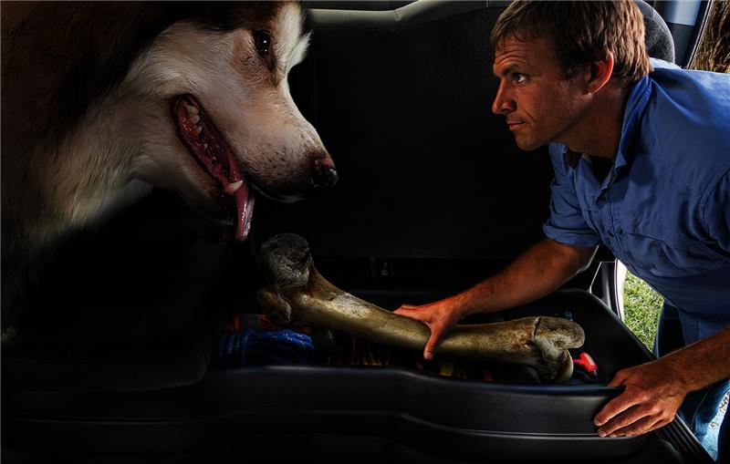 Husky Liners - HSL09031 - Husky Liners 14 Chevrolet Silverado 1500 / 14 GMC Sierra 1500 Crew Cab ONLY Husky GearBox - Shipped in Europe - Tuningsupply.com