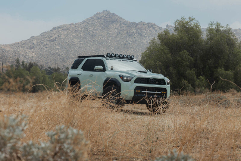 DV8 Offroad RRTF3-02EMP - DVERRTF3-02EMP - DV8 Offroad 25-26 Toyota 4Runner Exterior Window Molles (Use w/ PN dveRRTF3-02) - Passenger - Shipped in Europe - Tuningsupply.com