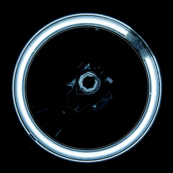 Raxiom 49133 - RAX49133 - Raxiom 05-12 Ford Mustang GT LED Halo Fog Lights (Chrome) - Shipped in Europe - Tuningsupply.com