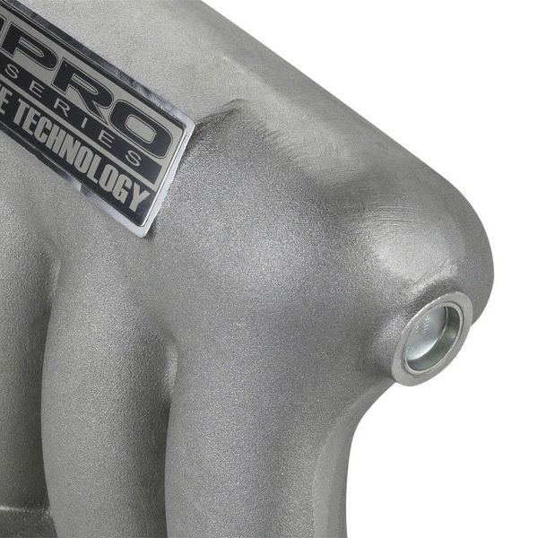 Skunk2 Racing 307-05-0310 - SKK307-05-0310 - Skunk2 Pro Series 02-06 Honda/Acura K20A2/K20A3 Intake Manifold (Race Only) - Shipped in Europe - Tuningsupply.com