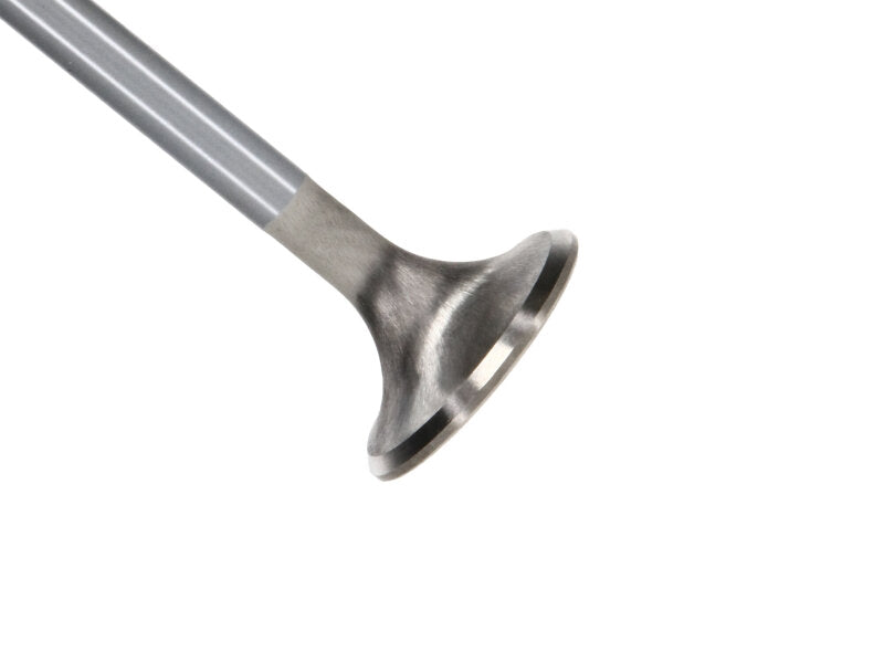 Manley Performance 12629-8 - MAN12629-8 - Manley Ford Modular Coyote 5.0L Gen III Race Master Series Exhaust Valve Set - 1.260in Dia - Shipped in Europe - Tuningsupply.com