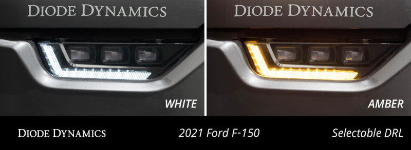 Diode Dynamics DD5169 - DIODD5169 - Diode Dynamics 21-23 Ford F-150 Elite Fog Lamps - White - Shipped in Europe - Tuningsupply.com