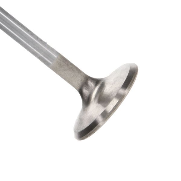 Manley Performance 11643-10 - MAN11643-10 - Manley up to 2010 Dodge Viper V-10 1.600 Dia Race Master Exhaust Valves (Set of 10) - Shipped in Europe - Tuningsupply.com