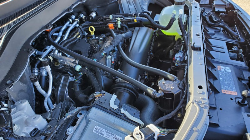 J&L 3121P-B - JLT3121P-B - J&L 2025 Ford Explorer 2.3L EcoBoost 3.0 PVC Side Oil Separator - Black Anodized - Shipped in Europe - Tuningsupply.com