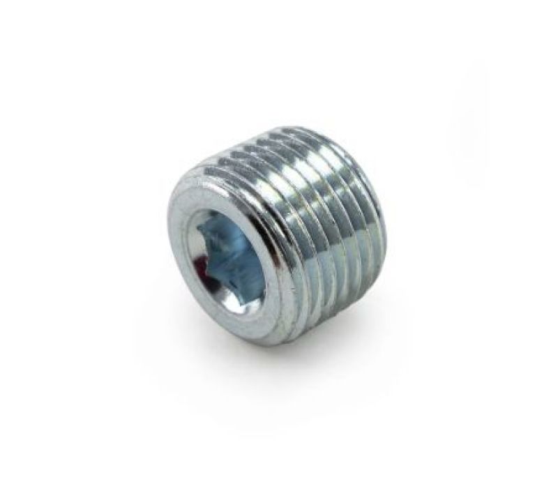 Killer B Motorsport NPTPL - KLBNPTPL - Killer B 1/2in NPT Chrome Plated Steel Plug - Shipped in Europe - Tuningsupply.com