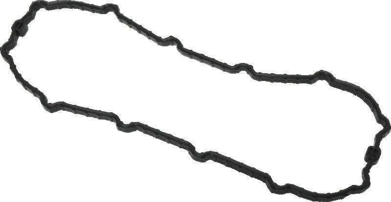 TwinPower 046168 - TWP046168 - Twin Power 04-13 Dyna Models Fuel Pump Plate Seal Viton Replaces H-D 75245-04A - Shipped in Europe - Tuningsupply.com