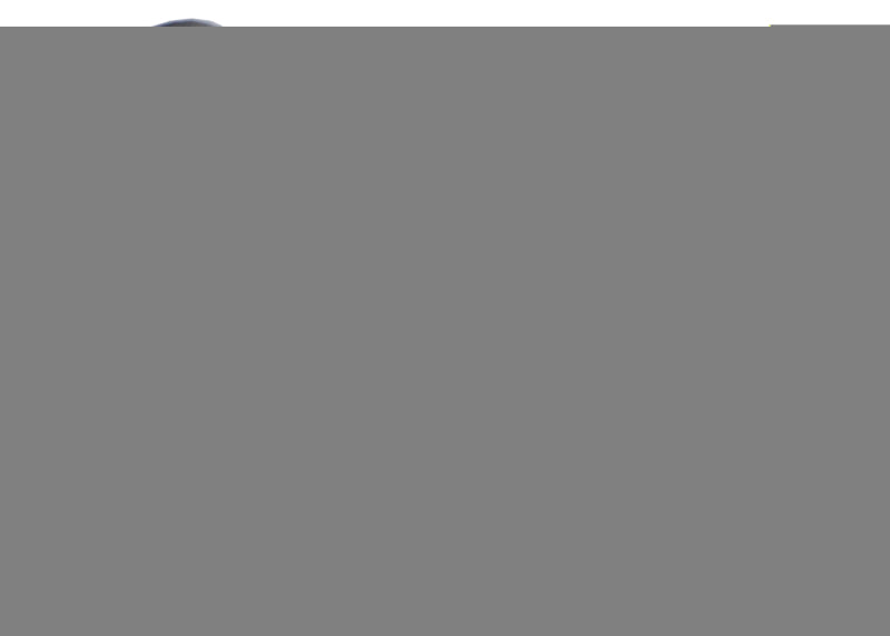 Whiteline W31704 - WHLW31704 - Whiteline Plus 1/85-11/99 Toyota Landcruiser Rear Sway Bar Link Bushing - Shipped in Europe - Tuningsupply.com