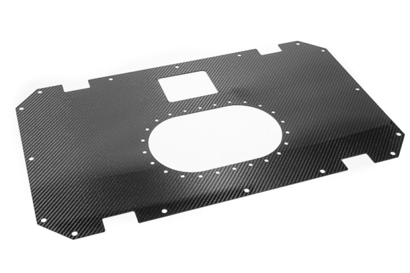 Radium Engineering 13-0410-01 - RAD13-0410-01 - Radium Engineering Carbon Fiber Fuel Cell Lid - 10/14 Gallon - Shipped in Europe - Tuningsupply.com